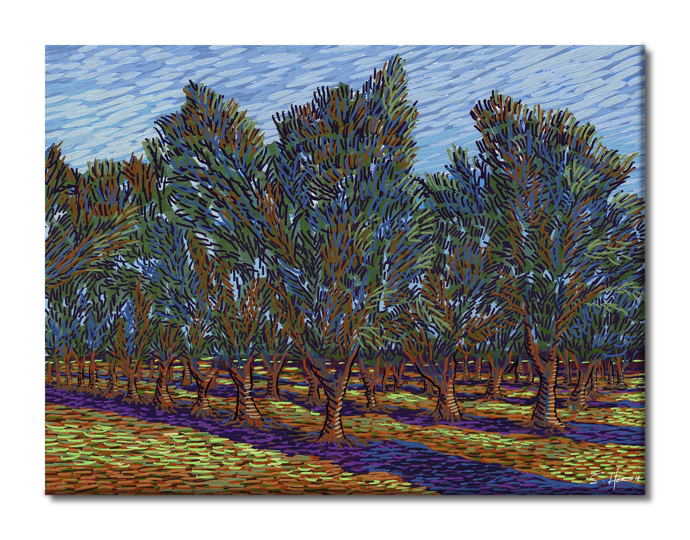 Olive Tree Orchard", Digital Art, Giclee on Canvas with Signature, 30"x40", Limited Edition of 50