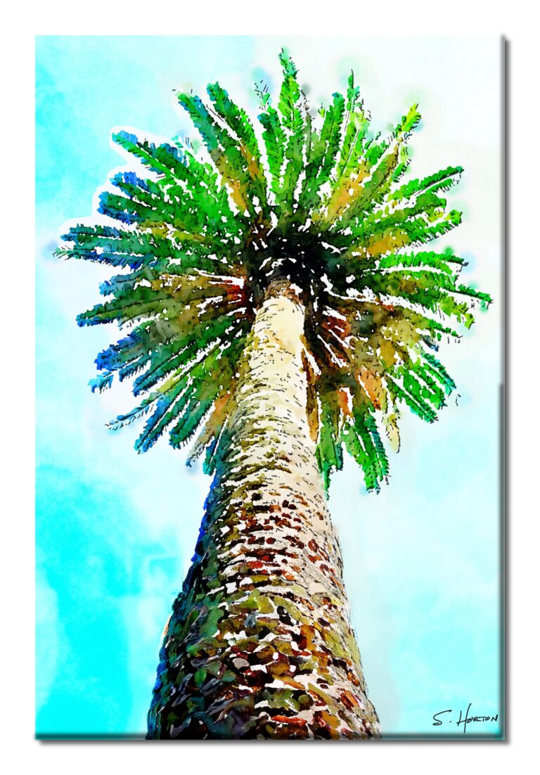 Sky High Palm", Digital Art, Giclee on Canvas with Signature, 24"x36" or 40"x60", Limited Edition of 50