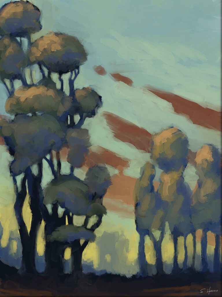 Clouds Through The Trees At Sunset