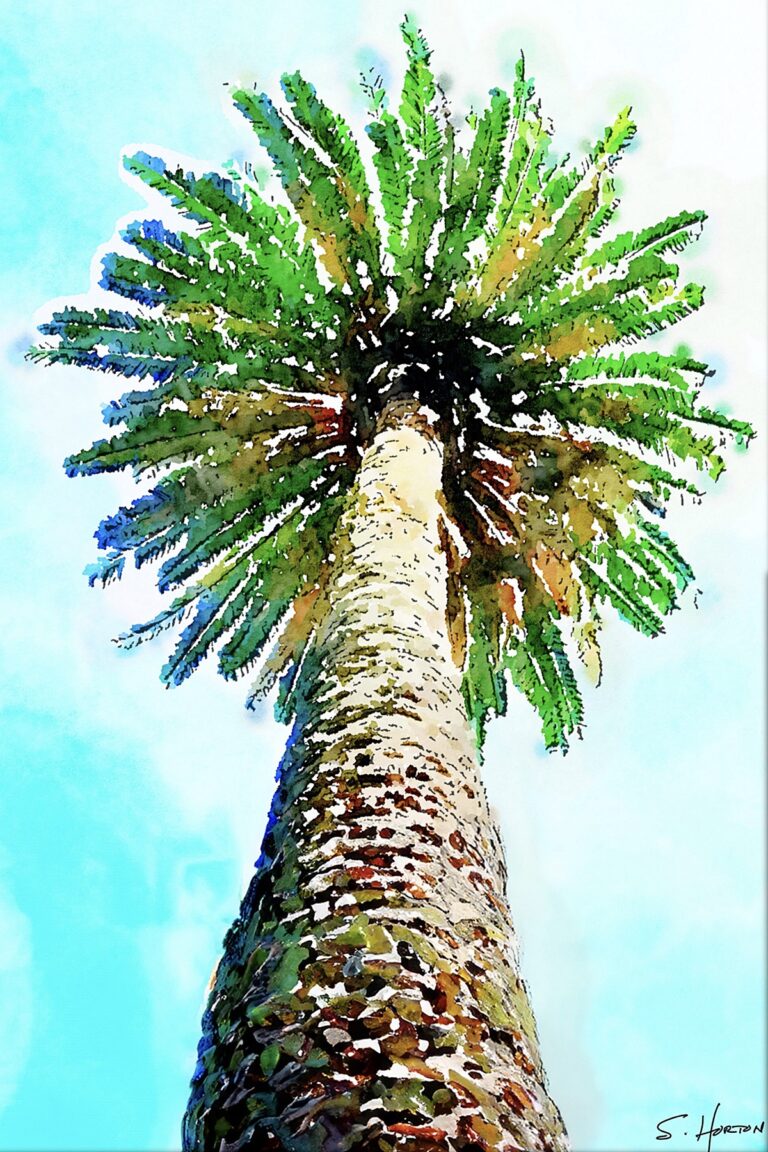 Sky High Palm from the Scenics Collection