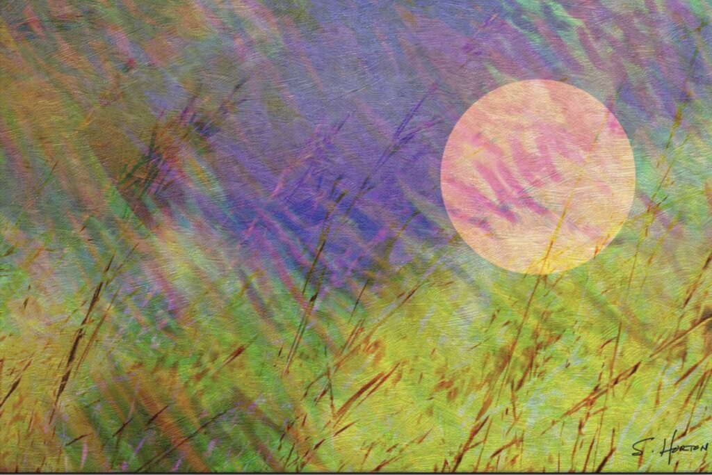 Sunset Over Grassy Fields from the Scenics Collection