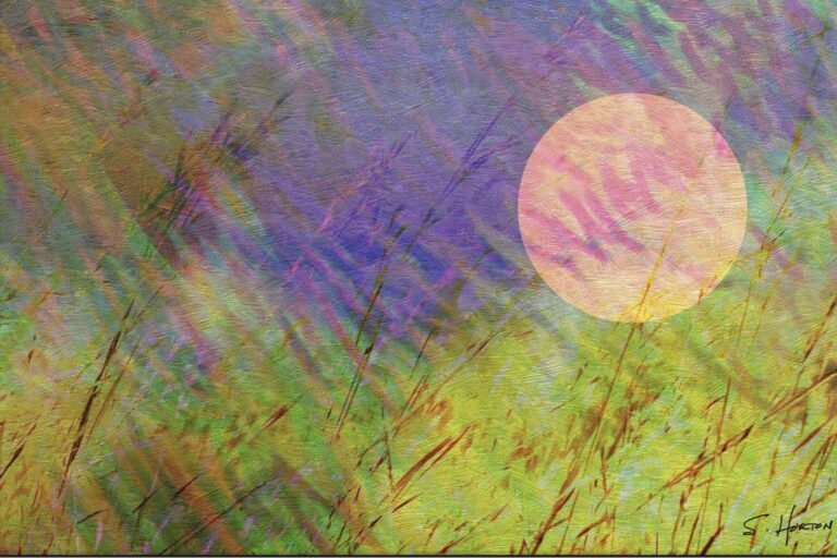 Sunset Over Grassy Fields from the Scenics Collection