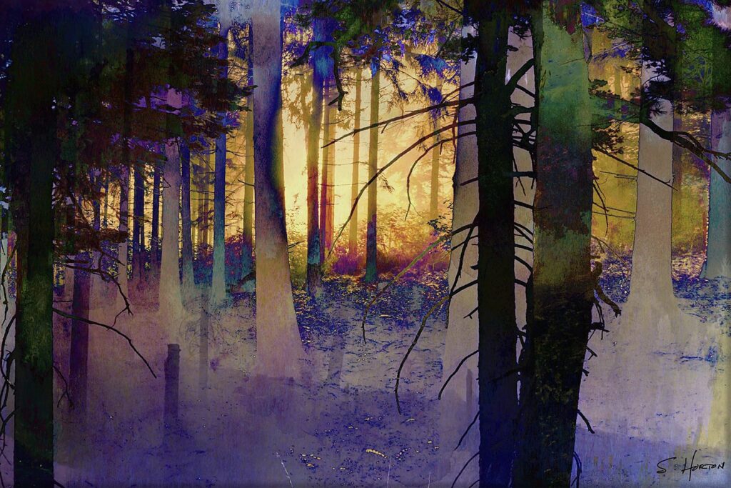 The Woods Are Lovely from the Scenics Collection