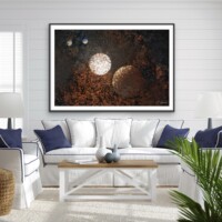 Celestial 001 from the Celestials Series, Wall Display Celestial 001 from the Celestials Series, Wall Display