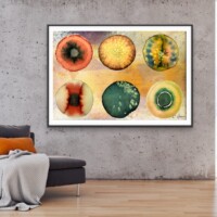 Celestial 009 from the Celestials Series, Wall Display Celestial 009 from the Celestials Series, Wall Display